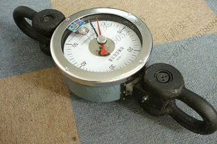 推拉力計 30公斤大量程推拉力計